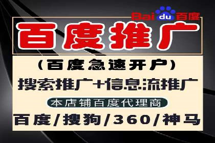 探索sem代运营公司成功案例的共同点